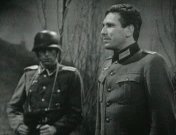 Wonder aan de Donau.jpg