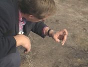 Tarzans black box.jpg