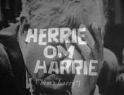 Herrie om harrie titel.jpg
