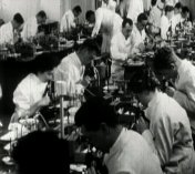 Antoni van Leeuwenhoek microscopie.jpg