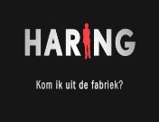 Haring 1.jpg