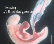 Het kind dat geen stem heeft titel.jpg