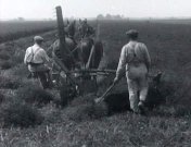 75 jaar drooglegging van de Haarlemmermeer.jpg