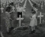 Dag van het oorlogsgraf.jpg