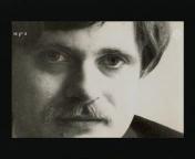 Willem Wilmink Dichter in de Javastraat.jpg