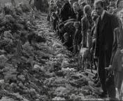 Bevrijdingsbeelden Amersfoort, Amsterdam en Rotterdam1.jpg