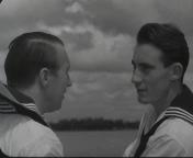 Sal waerachtig wel gaen.jpg