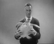 Van alles over dieren.jpeg