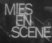Mies en Scene Titel.jpg