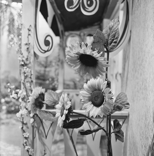 Bestand:FTA001008791 008 con.png