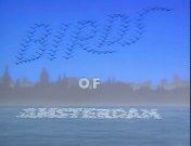 Vogels van Amsterdam titel.jpg