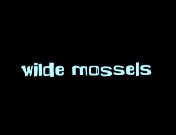 Wilde mossels (2000) titel.jpg