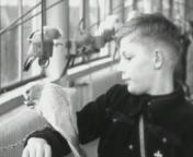 Familiebeelden jan.jpg