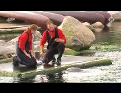 Dierenpark (2004-2005).jpg