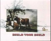Beeld voor beeld.jpg