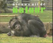 Nieuws uit de natuur.jpeg