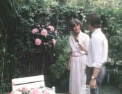 Kleine paradijs, het (1985-1986).jpg