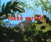 Tokke vertelt titel.jpg