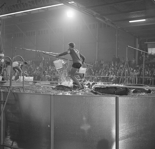 Bestand:FTA001005104 013 con.png