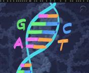 Het zit in de familie (1998).jpg