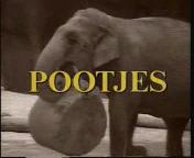 Pootjes titel.jpeg