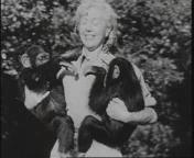 Luipaard op schoot01.jpeg