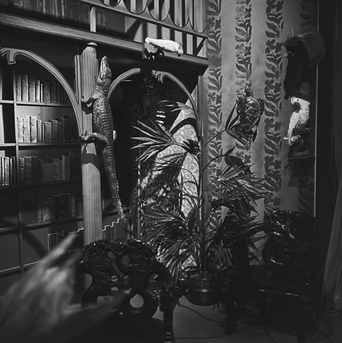 Bestand:FTA001010766 011 con.png