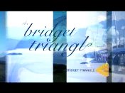 The Bridget triangle (2004-2005) titel.jpg