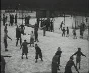 Een dag sneeuw en ijs in de residentie.jpg