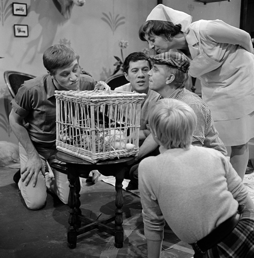 Bestand:66472141-38 pos.png