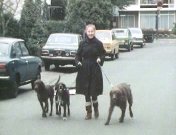 De hond achter de mens.jpg