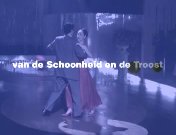 Van de schoonheid en de troost titel.jpg