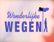 Wonderlijke wegen titel.jpg
