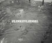 Flinkevleugel1.jpg