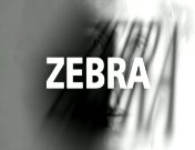 Zebra titel.jpg
