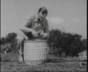 Luipaard op schoot.jpeg