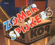 Zomerspijkers titel.jpg