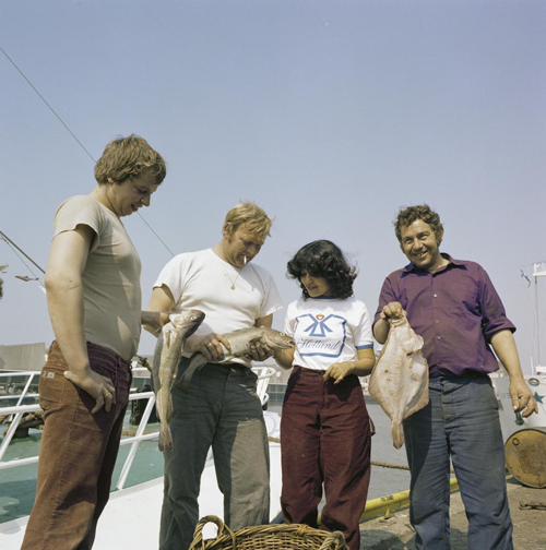 Bestand:FTA001040060 005 con.png