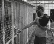 Apenopvangcentrum van Okko Reussien.jpeg