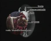 Meneer Rommel (1992) titel.jpg