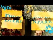 Dierenpark (2004-2005) titel.jpg