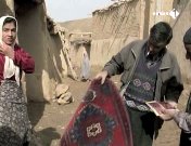 Reisnaarhetparadijs 2.jpg