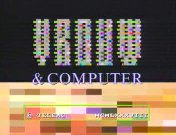 Vrouw en computer titel.jpg