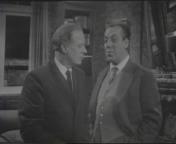 Op zoek naar willie.jpg