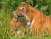 Zoovenirstitel.jpg
