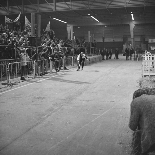 Bestand:FTA001005119 011 con.png