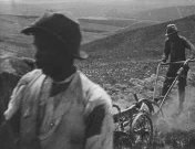 Zuid Afrika bebossing en bosexploitatie.jpg