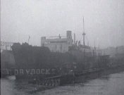 Shot van de Lyberty Glo