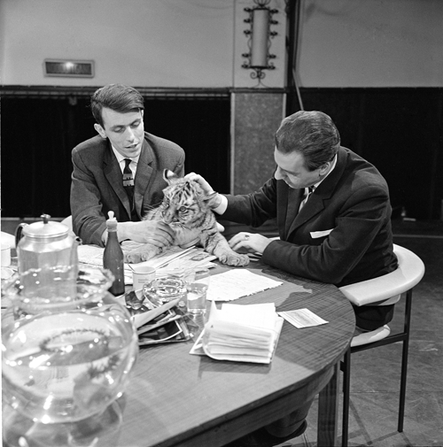 Bestand:6438-21 pos.png