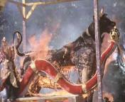 Bali verbrandt een vorst.jpg